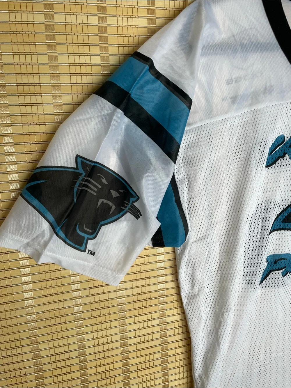 Carolina Panthers White & Teal Mesh Jersey Top